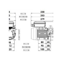 Pompa do ON PA2 100 samozasysająca Adam Pumps | Arccan Serv